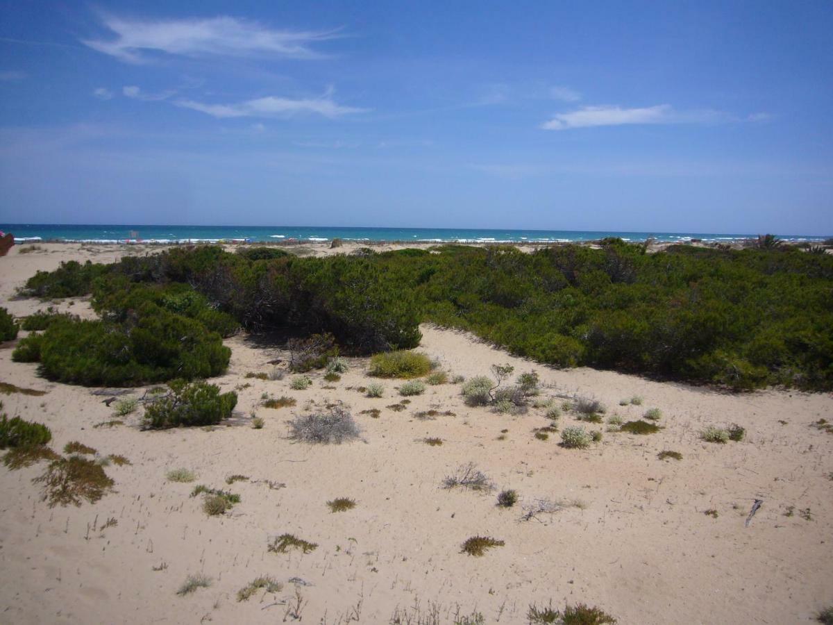 Descansa Y Disfruta De Las Mejores Playas Arenales del Sol Eksteriør bilde