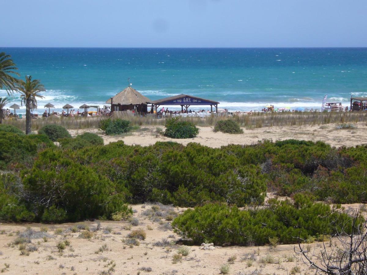 Descansa Y Disfruta De Las Mejores Playas Arenales del Sol Eksteriør bilde